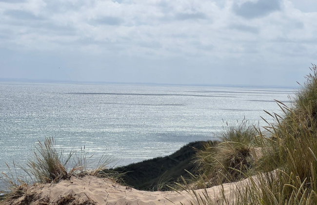 5 Star Holiday Home in Skagen - Foto 27