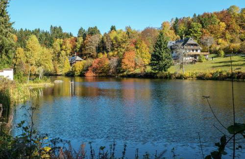 Ferienhaus in Wittenschwand - Foto 19