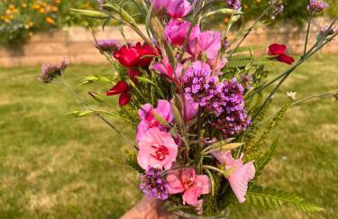 Moorleigh House Entire Property Sleeps 10 - Foto 16