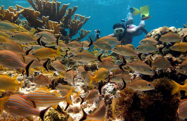 Snorkeling à San Andrés - Photo 1