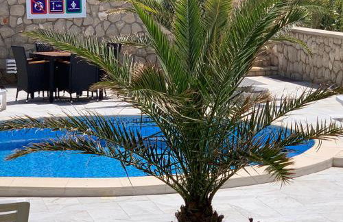 Apartments Albatross - Photo 15