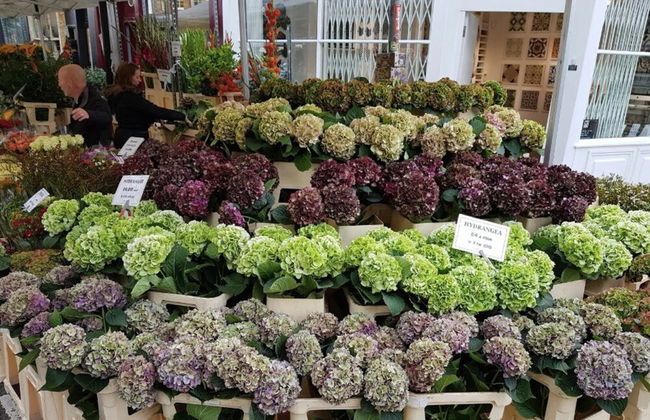 Beautiful 1 Bedroom With Balcony Near Mile End - Foto 20