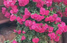 Domek Jaśka - Foto 16