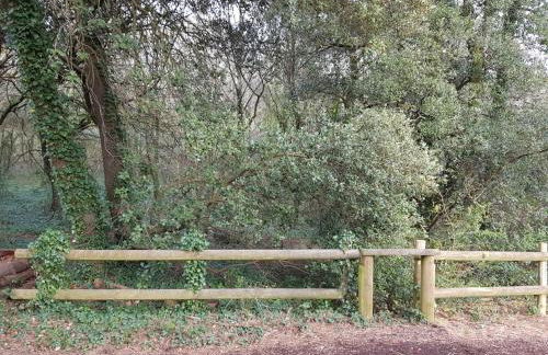 Entre plage et forêt - Photo 5