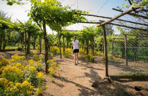 Agriturismo Ca du Chittu - Foto 59