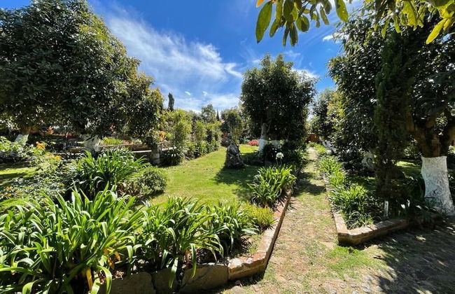 Cabañas La Huerta - Foto 14