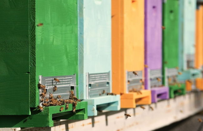 Agriturismo Borgo il Mezzanino - Foto 46