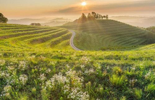 Villa Lotus - Foto 31