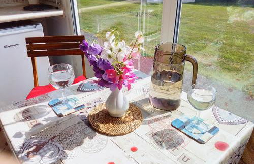 Chalet for two - Dartmouth - Foto 1