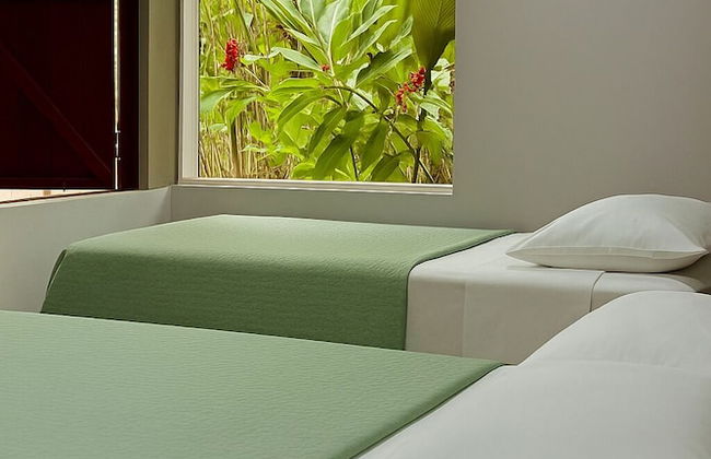 Green Jungle House - Photo 17