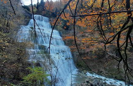 Le Bois gentil - Foto 24