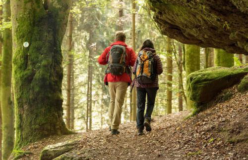 Ferienhaus Storchenblick - Foto 37