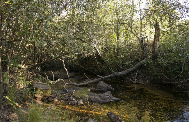 Terra Coral - Chapada dos Veadeiros - Foto 69