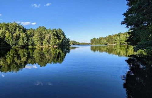 Red Tree Resort LLC - Foto 1