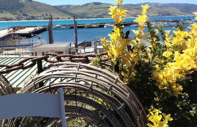 Hampton on Apollo - Ocean Mountain View Creekside Retreat Pet Friendly Free EV Charger Fireplace Wood Supplied During Winter - Photo 22