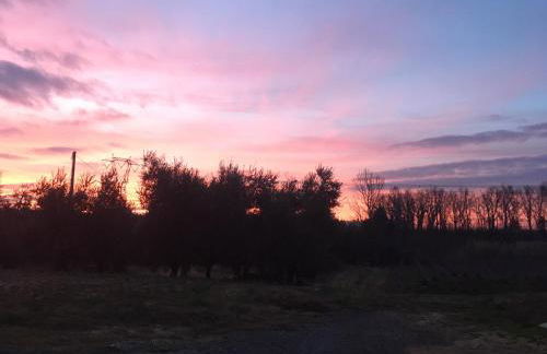 Agriturismo La Casina nel Vigneto - Foto 29