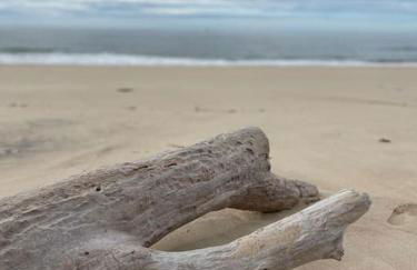 Maison 7 personnes Soulac Climatisée Fibre - Foto 34