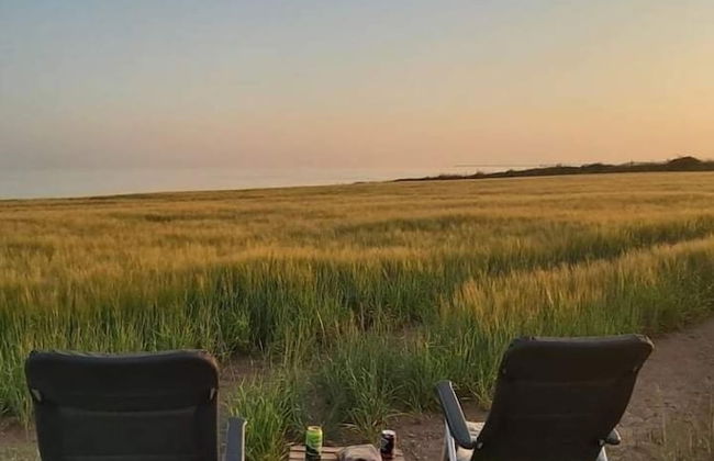 Tregantle Farm Eco Glampsite Super Safari Cabin - Foto 9