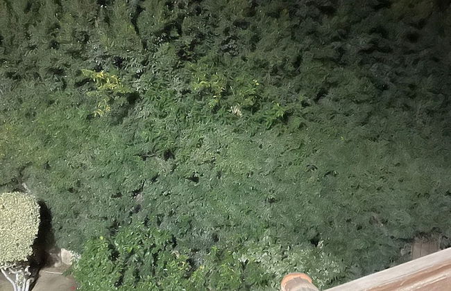 Beverly hills villa with garden - Foto 75