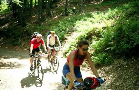 Chalet con Piscina - Foto 33