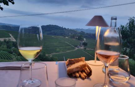 Gatti di Langa - Foto 23