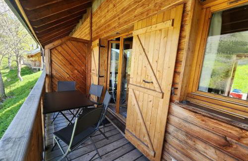 Chalet 6 à 8pers pied des pistes, piscine et vue - Photo 10