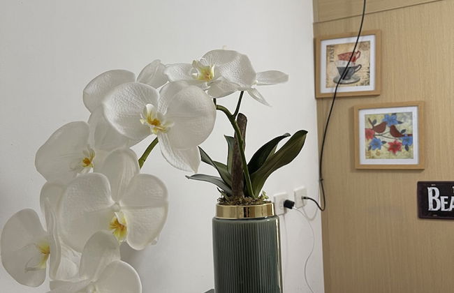 HEL CONDOTEL at SMDC GRACE RESIDENCES - Foto 23