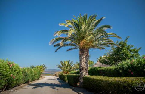 Le Mas aux Amoureux , Suite Romantique et Spa - Foto 37