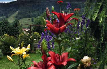 Willa Wierchy - Foto 6