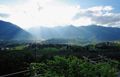 Schwarzplatterhof - Foto 6