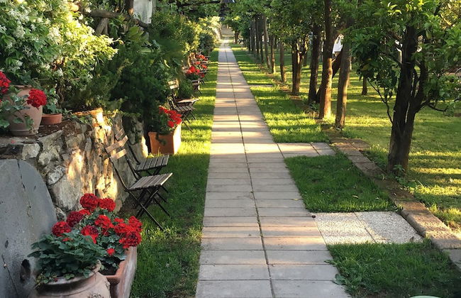 Podere don Peppe 1884 - Photo 25