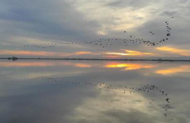Mi pequeña terraza - Foto 27