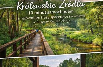 Leśny Azyl w Puszczy Kozienice - Foto 18