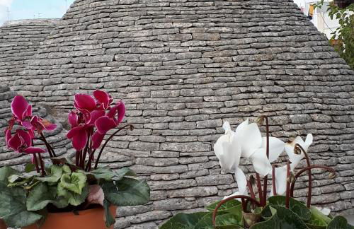 Historich house Largo Martellotta 44 - Photo 31