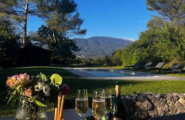 Mazet avec piscine, vue Ventoux - Foto 2