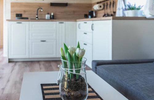 Lawendowy domek Gowidlino - Foto 6