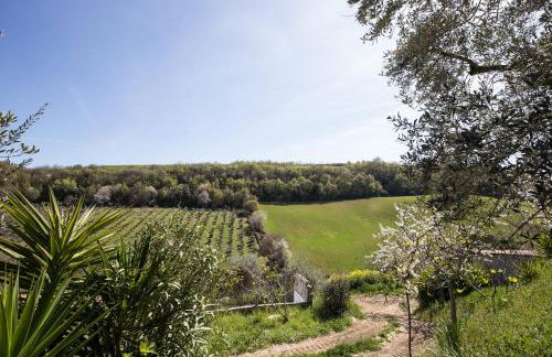 Agriturismo i Cigni - Foto 61