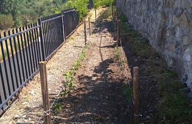 La Locanda dei Cavalieri - Foto 14