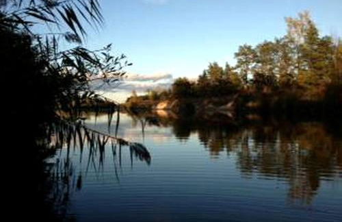 Cabin Surrounded by Sublime Nature near Lake Huron, Michigan - Foto 7