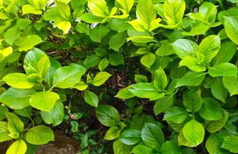 Ορεινος Παραδεισος - Photo 29