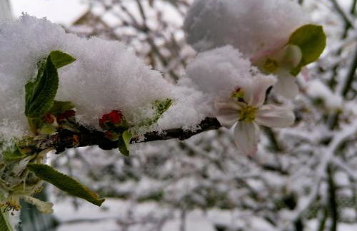 Casa Largo S Lourenço e Casa da Videira - Photo 36