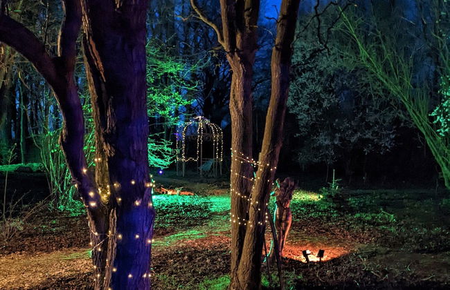 Owl Lodge With Hot Tub and Massage Treatments - Photo 20