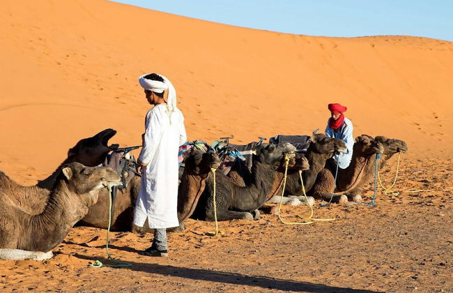 Merzouga Exotic Luxury Camp Is The Best Location - Photo 10