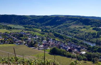 Zur alten Rebe Ferienhaus und Weingut - Foto 46