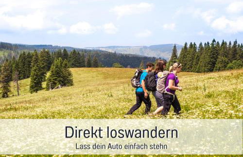 Fewo Herzgrün direkt an Wanderwegen mit traumhafter Aussicht Sauna E-Ladestation - Foto 31