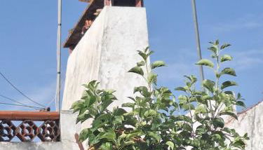 Casa do Rouxinol - Foto 4