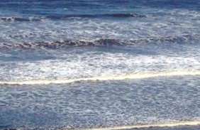 Apto pé na areia com vista para o mar no Litoral Sul - Foto 9