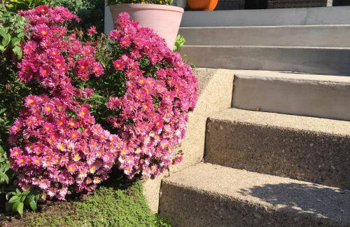 Historic Upstairs Apartment - Foto 16