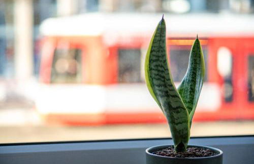 Zentral Bahnhof Salz&Sand 75m2 Apartment - Foto 19