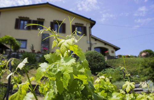 Villa Porcigliano Olive Grove - Foto 46